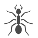Los Angeles Ant Control | Pest Control