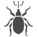 Los Angeles Beetle Control | Pest Control