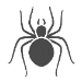 Los Angeles Spider Control | Pest Control